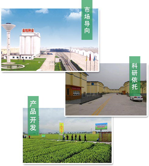 科研開發